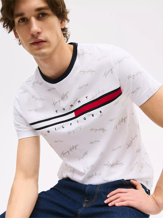 Signature Flag Stripe Logo T-Shirt